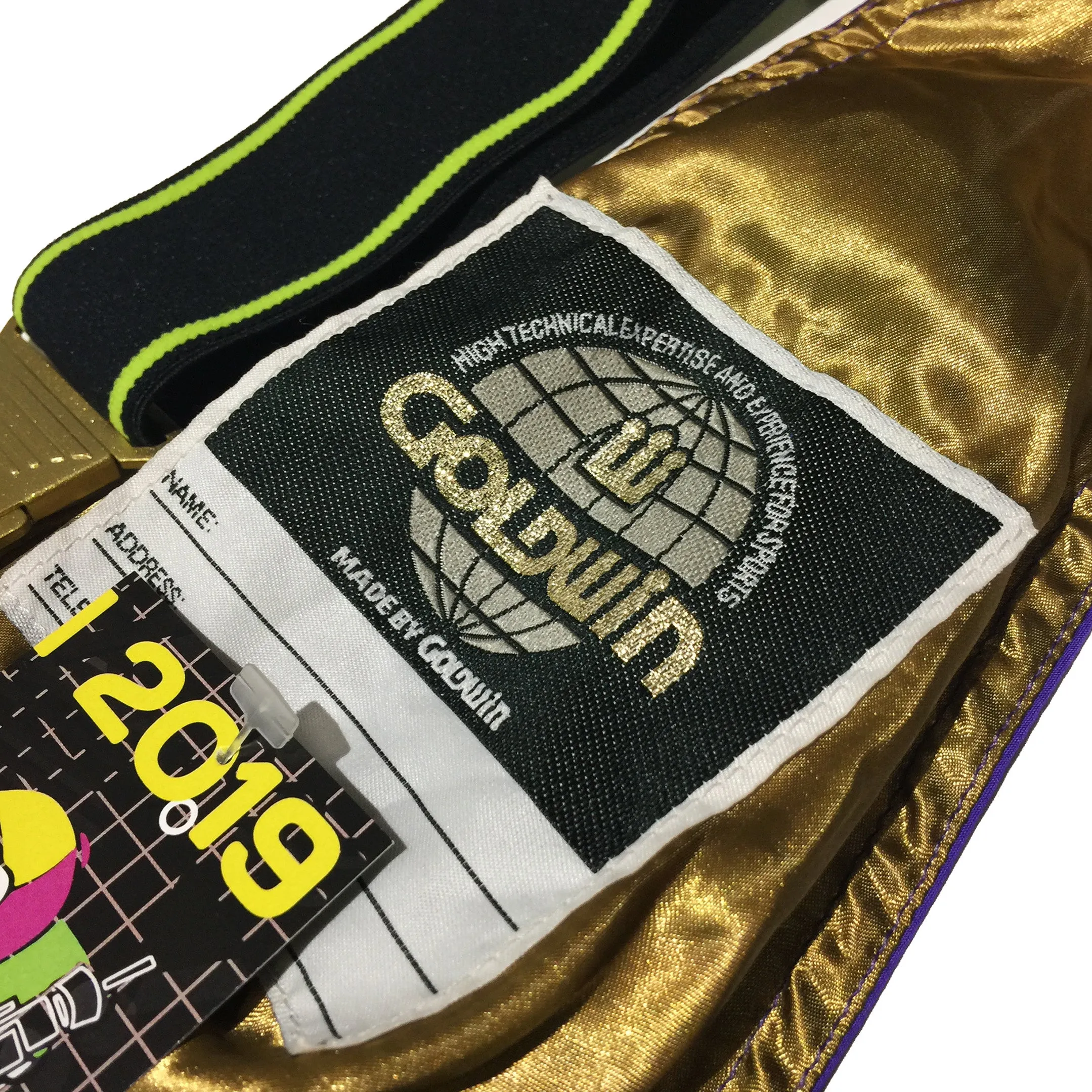 Goldwin Purple Ski Pants