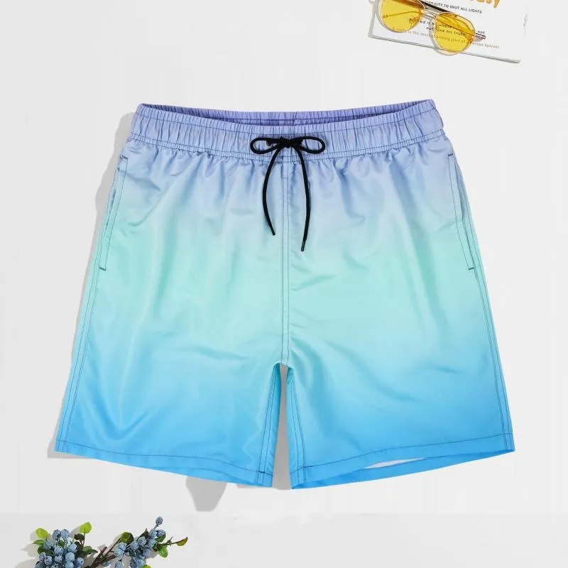 Men's Hawaiian Vacation Gradient Print Shorts 81804813L