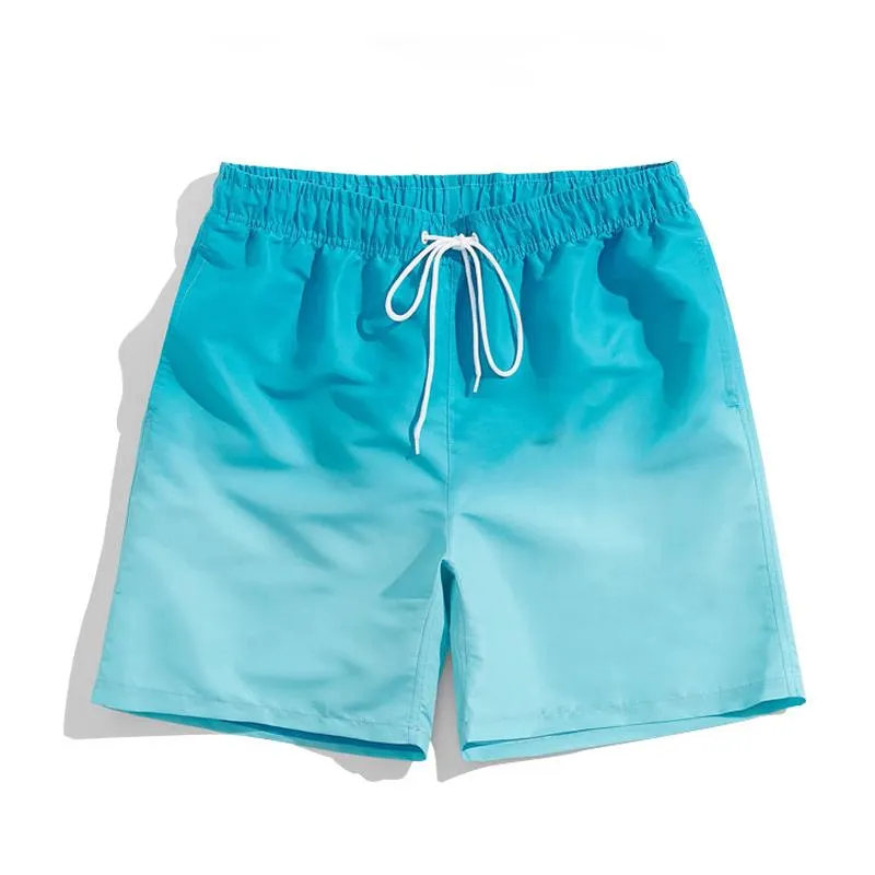 Men's Hawaiian Vacation Gradient Print Shorts 81804813L