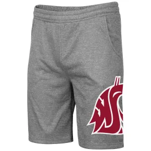 Mens Heather Grey Polyester Sweat Shorts